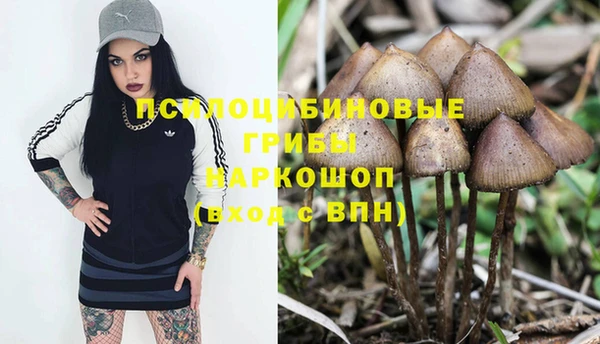 spice Алзамай